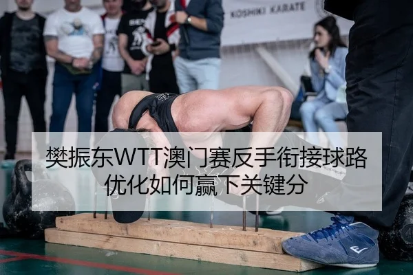 樊振东WTT澳门赛反手衔接球路优化如何赢下关键分